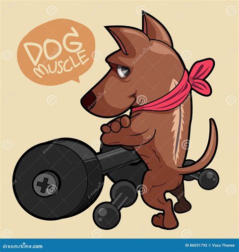 Muscle dog stock illustration. Illustration of dumbbell - 86031792