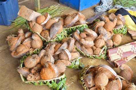20 Fun Facts About Tonga - Tonga Pocket Guide