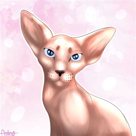 Hairless Cat Icon Doodle by AstridxDraws on DeviantArt