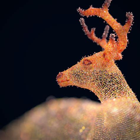 #Inorganic_Animals :: Behance