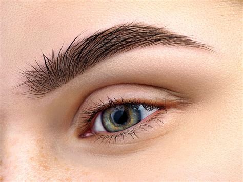 How To Grow In Eyebrows at Staci Clarke blog