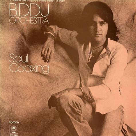 Biddu Orchestra - Soul Coaxing (1977, Vinyl) | Discogs