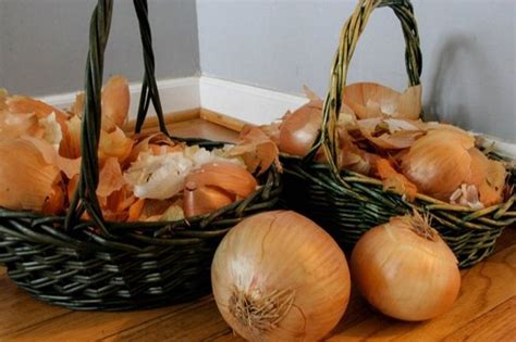 Польза от луковой шелухи