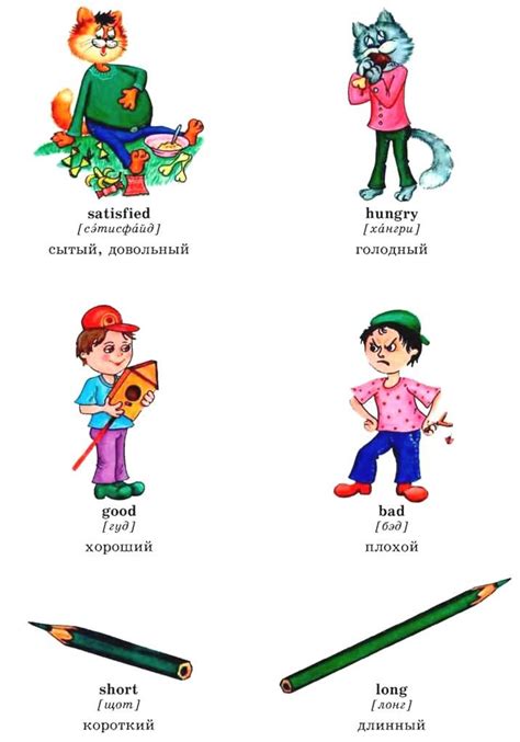 УРОК 20. ADJECTIVES / ПРИЛАГАТЕЛЬНЫЕ - ЦИКЛ ЗАНЯТИЙ "АНГЛИЙСКИЙ ЯЗЫК ...