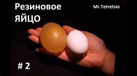 Как сделать мячик из яйца? Как сделать резиновое яйцо? Мячик ...