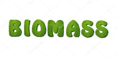 Βιομάζα. — Φωτογραφία Αρχείου © StockPhotoAstur #15881299