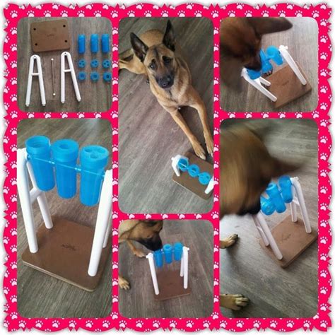 diy dog enrichment images  pinterest dog enrichment diy dog  dog games