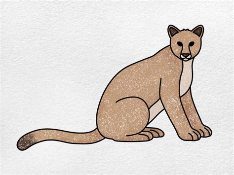 Пума рисунок (много фото) - drawpics.ru