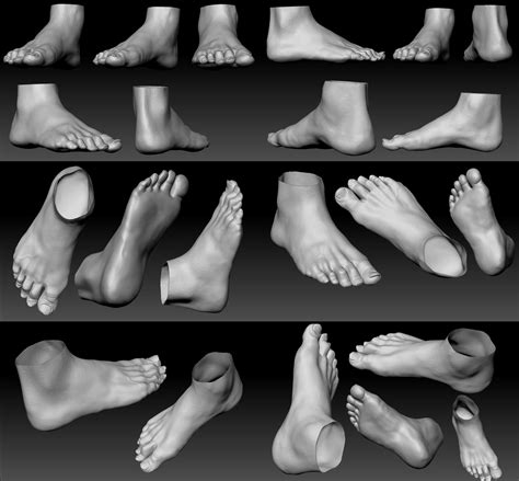Weekly Anatomy Challenge - Week 5 [Foot] — polycount