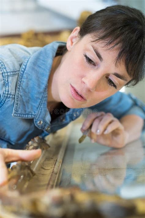 Golden Coated Frame Restoration Worker Stock Photo - Image of frame ...