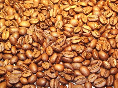 Coffee beans - slidestorm