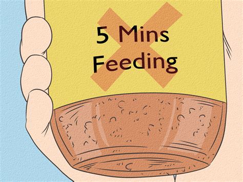 can betta fish dirty step by step 5