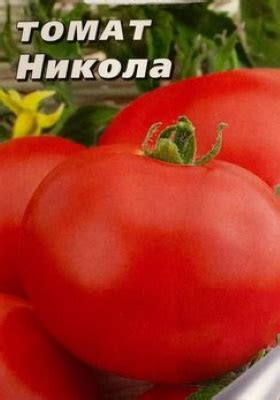 Томат Никола. Описание сорта, фото, отзывы