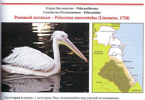 Красная книга Дагестана
