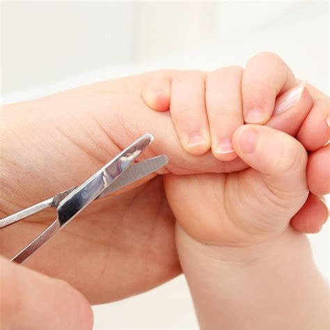 Tesoura De Unha Bebe - Tesoura de Unha Bebe Ponta Curva Cortar Cílios Maquiagem Sobrancelha ...