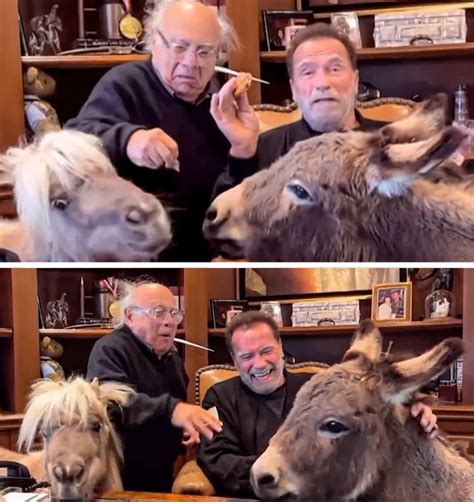 Arnold Schwarzenegger and Danny DeVito Reunite to Surprise Everyone ...