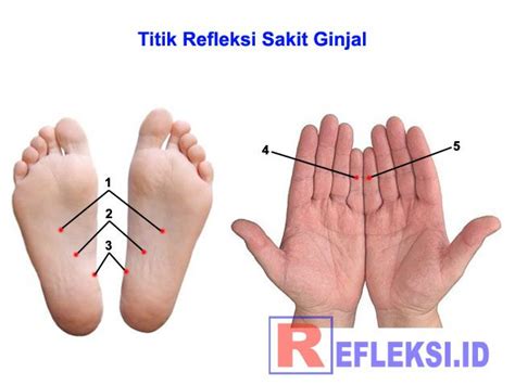 gambar titik refleksi kolesterol pulp