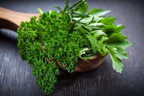 Italian Parsley Vs. Curly Parsley: SPICEography Showdown