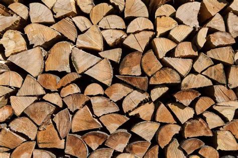 Do You Need To Cover Firewood? All Year? - Freedom Residence