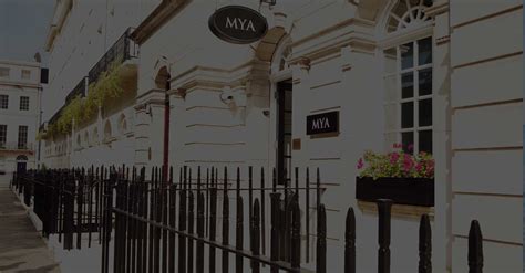 mya cosmetic surgery experts