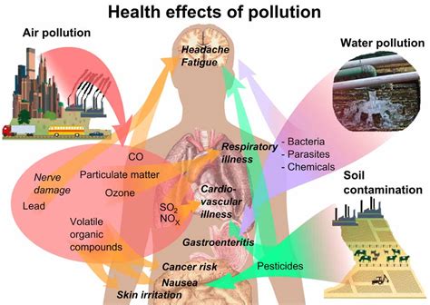 effects  air pollution  human health  environment
