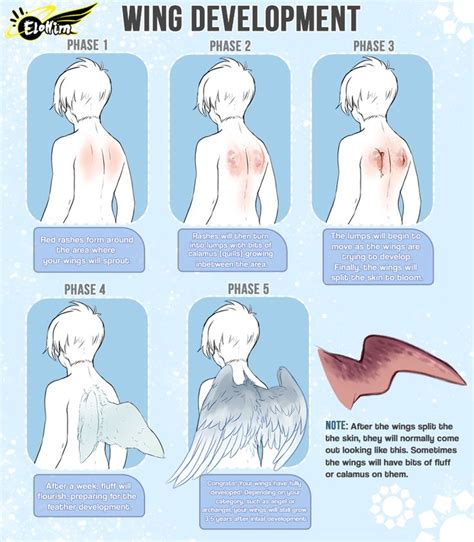 [Elohim] Wing Development by Yobot on DeviantArt | Art reference, Wings ...