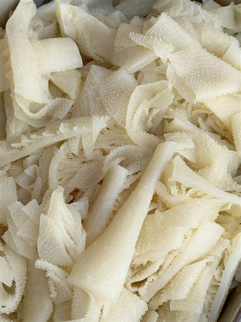 fresh white raw  tripe stock image image  traditional