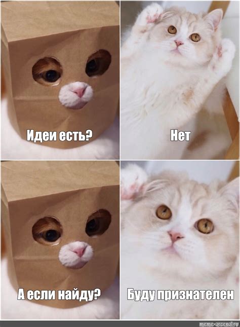Создать мем "открытка с котом мем, котики смешные, котики мемные ...