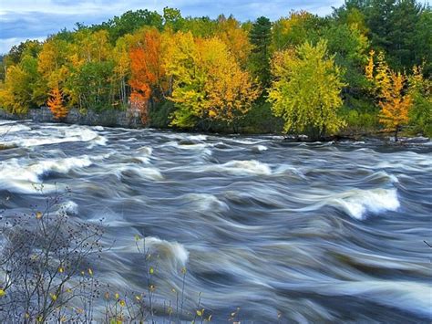 That river’s flowing… – Stuart McIntyre