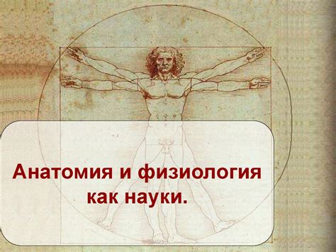 Анатомия и физиология, как науки - презентация онлайн