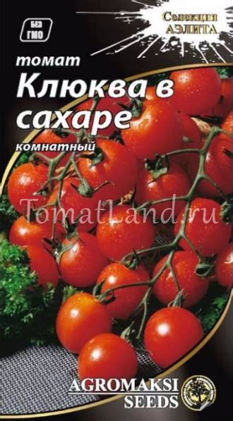 Томат Клюква в сахаре: описание сорта, ОТЗЫВЫ (29), фото