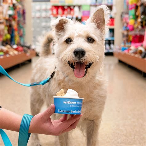 Is Petco Dog Friendly
