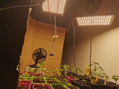 The minimum lumens to raise tomato and pepper seedlings : r/gardening