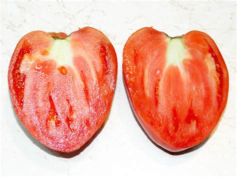 Томат Знаменитая Клубника миссис Шлаубах (Mrs. Schlaubaugh's Famous ...
