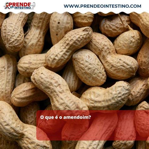 O Que É O Amendoim - Entenda se o amendoim é indigesto e como evitar
