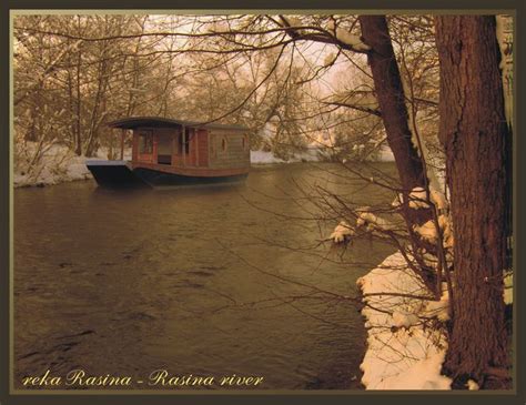 houseboat   rasina river house boat river  postcards