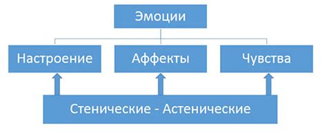 Эмоции и чувства