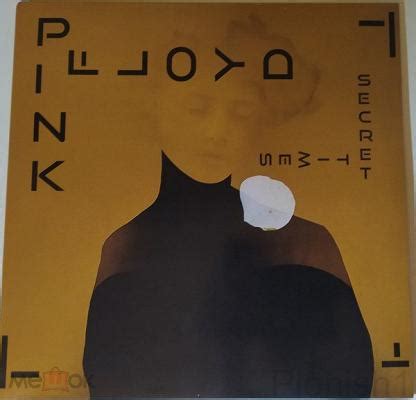 Pink Floyd, Secret Times, 2019, EU,1LP, Sealed