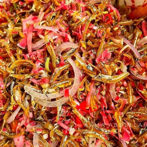 bunga kantan segar  batang