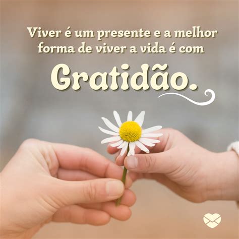 Frases De Otimismo E Gratidão
