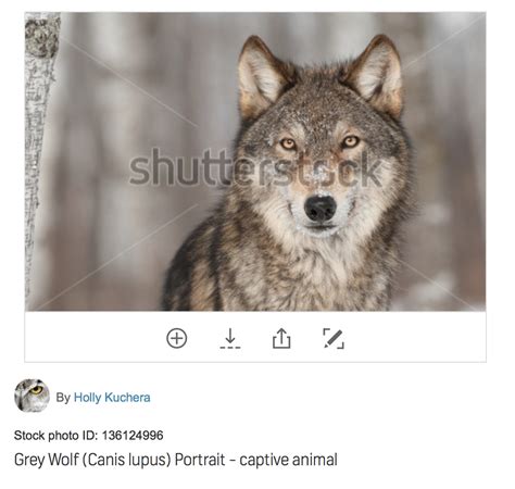 How to use TinEye to search for an image online – TinEye Blog