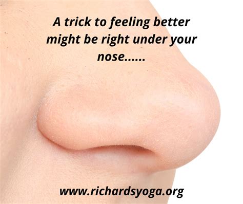 Feeling better might be right under your nose..