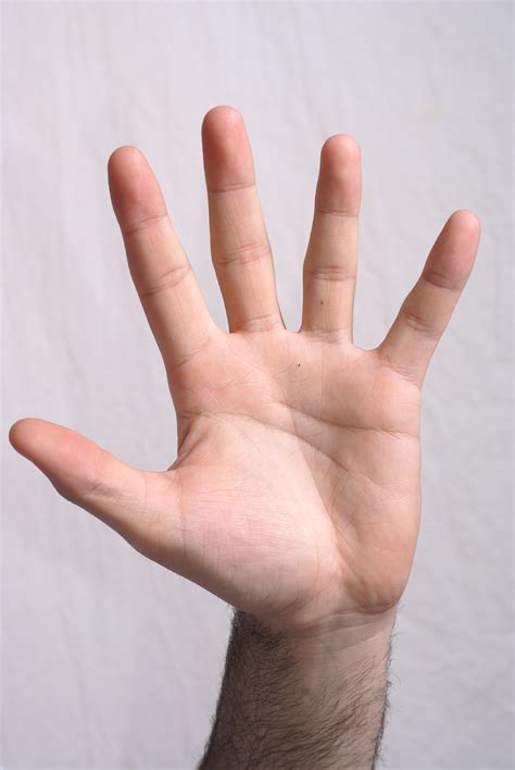 "That they might have life" -John 10:10: Five Finger Contract