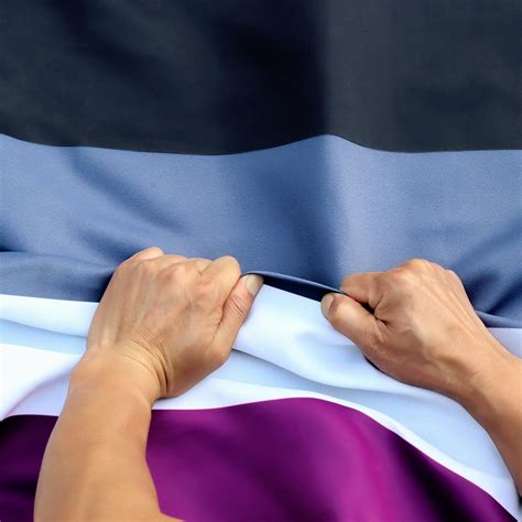 Anley Rip-Proof Technology Double Sided 3-Ply Asexual Pride Flag 3x5