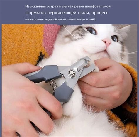 Когтерезка для кошек и собак 4х12,5 см. Купить | Москва