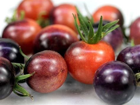 Купить семена Помидор Тomato Purple Cherry в Москве: доставка семян по ...