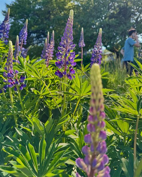 Katherine Lee Studio