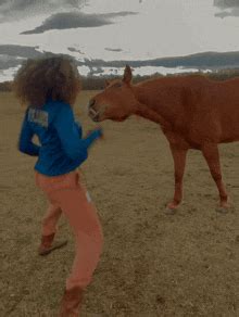 horse woman gif horse woman angry discover share gifs