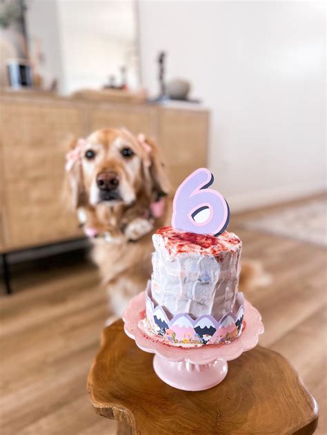 how to make cake for dog 7