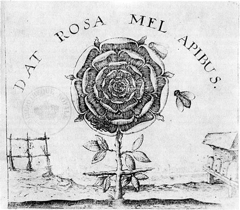 Dark Inklings: Rose Symbolism